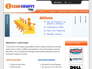 1 Lead Counts
