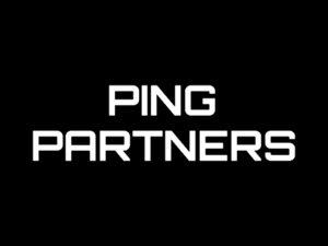 Ping.Partners